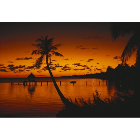 French Polynesia Rangiroa Bungalows At Sunset Silhouetted Palm Trees Canvas Art - Peter Stone Design Pics (18 x 12)
