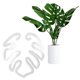 thumbnail image 1 of Monstera Plant Support 1 Grapple Mantiene Los Tallos Las Plantas Fijador Tallo Vertical para Interior (A), 1 of 9