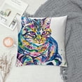 thumbnail image 2 of Orinice Colorful Design Cat Graphic Decorative Pillow Cover for Home Couch Living Room Bed Sofa 18x18in, 2 of 5