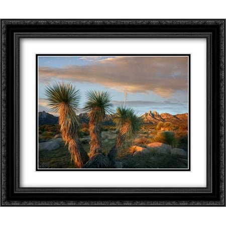 Yucca and Organ Mountains near Las Cruces, New Mexico 2x Matted 24x20 Black Ornate Framed Art Print by Fitzharris, Tim