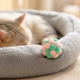 thumbnail image 4 of Assorted Plush Cat Toy Balls with Bells, Interactive Crinkle Sound Toys for Indoor Play, Self-Entertaining Pet Toys for Kittens(1.96in,Green), 4 of 8