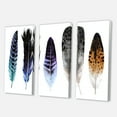 thumbnail image 3 of Designart ' Colourful Boho Art Feathers II ' Bohemian & Eclectic Canvas Wall Art Print, 3 of 3