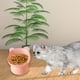 thumbnail image 3 of Comedero elevado para gatos Comederos elevados Platos para gatos y gatitos Antivuelco Bonito Rosa, 3 of 9
