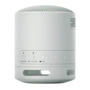 Sony SRS-XB100 Wireless Bluetooth Portable Speaker (Gray) with Case Bundle
