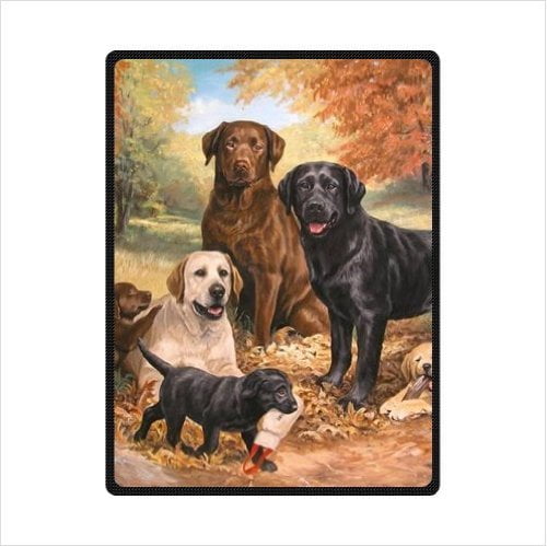 labrador dog blanket