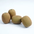 thumbnail image 1 of Nvzi Paquete de frutas artificiales, conjunto de frutas de espuma para decoración, frutas decorativas para fiestas en casa, rellenos de jarrones, accesorios de fotografía (kiwi, 10 unidades), 1 of 1