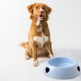 thumbnail image 5 of Slow Feed Pet Bowl, Non-Slip Base for Small Dogs and Cats, 5 of 9