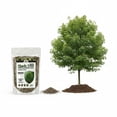 thumbnail image 3 of Old Cobblers Farm™ Shade Tree Food - Premium Fertilizer - Promotes Strong Vertical Growth and Broad Canopy Structure for Landscape Trees (15 lbs), 3 of 12