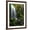 Brown Frame, variant on Art.com Mt Hood National Forest, Waterfall, Columbia Gorge Scenic Area, Oregon, USA Photographic Print by Stuart Westmorland, 12" x 16"