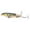E, variant on Floating Pencil Fishing Lure, Topwater Hard Bait with Sharp Treble Hooks, Realistic Surface Swimbait, Saltwater and Freshwater Tackle, Long Casting Design