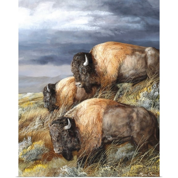 Great BIG Canvas | Rolled Trevor V. Swanson Poster Print entitled Distant Thunder