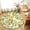 White, variant on Round Area Rugs 6Ft, Yellow Lemons Non-Slip Washable Circle Rugs Carpet, Summer Botanical Checkered Pastoral Indoor Outdoor Rug Floor Mats Throw Runner for Bedroom Living Room Bathroom