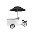 thumbnail image 1 of Tricycle à Crème Glacée / Vélo Distributeur de Friandises Surgelées, 1 of 1