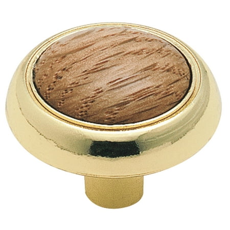 Allison Value 1-3/16 in (30 mm) Diameter Oak/Polished Brass Cabinet