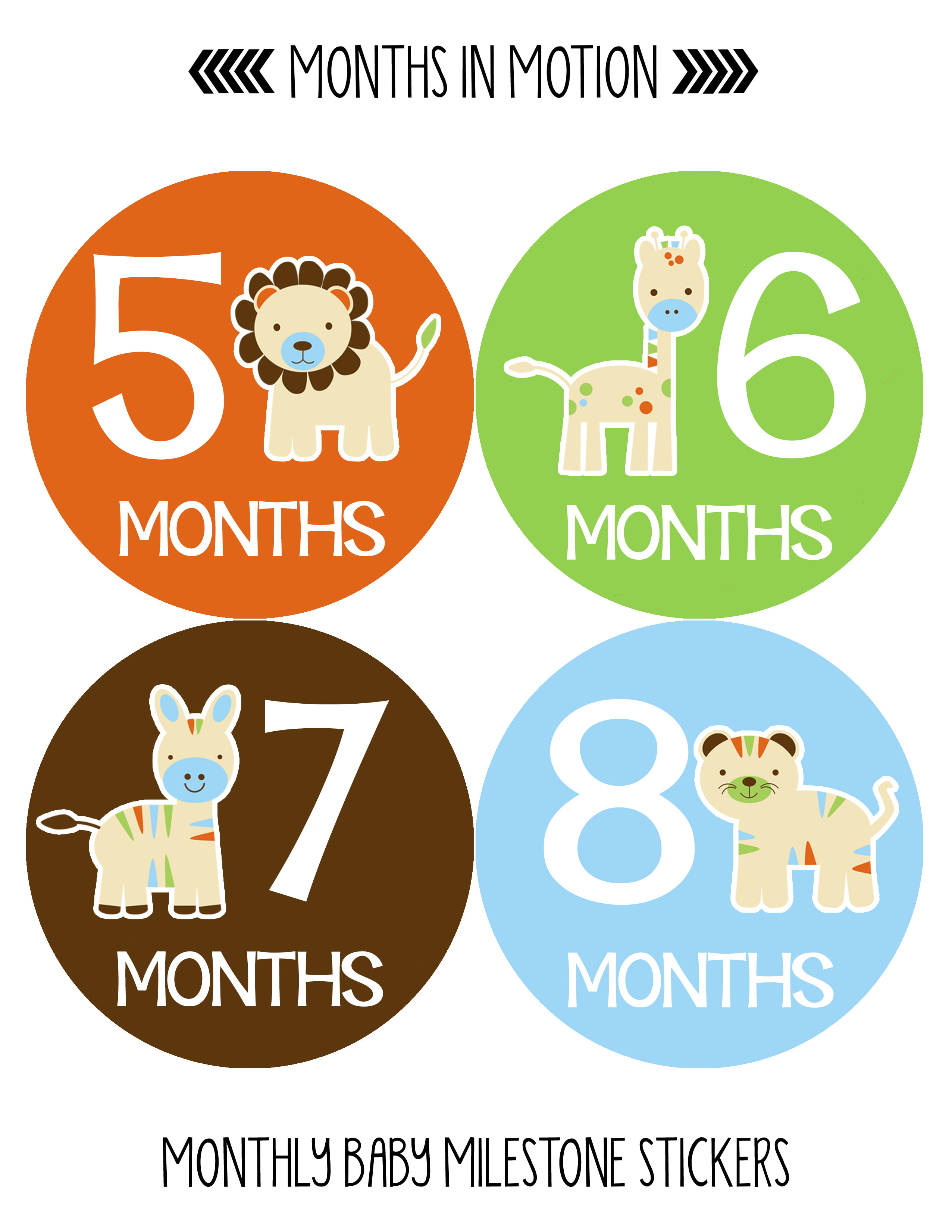 new The Perfect Picture 12 Month Sticker and bib Set boy picture prop 
