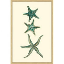 Marmont Hill "Aqua Starfish" Framed Painting Print