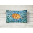thumbnail image 4 of Carolines Treasures BB5364PW1216 Sea Turtle Canvas Fabric Decorative Pillow, 4 of 5