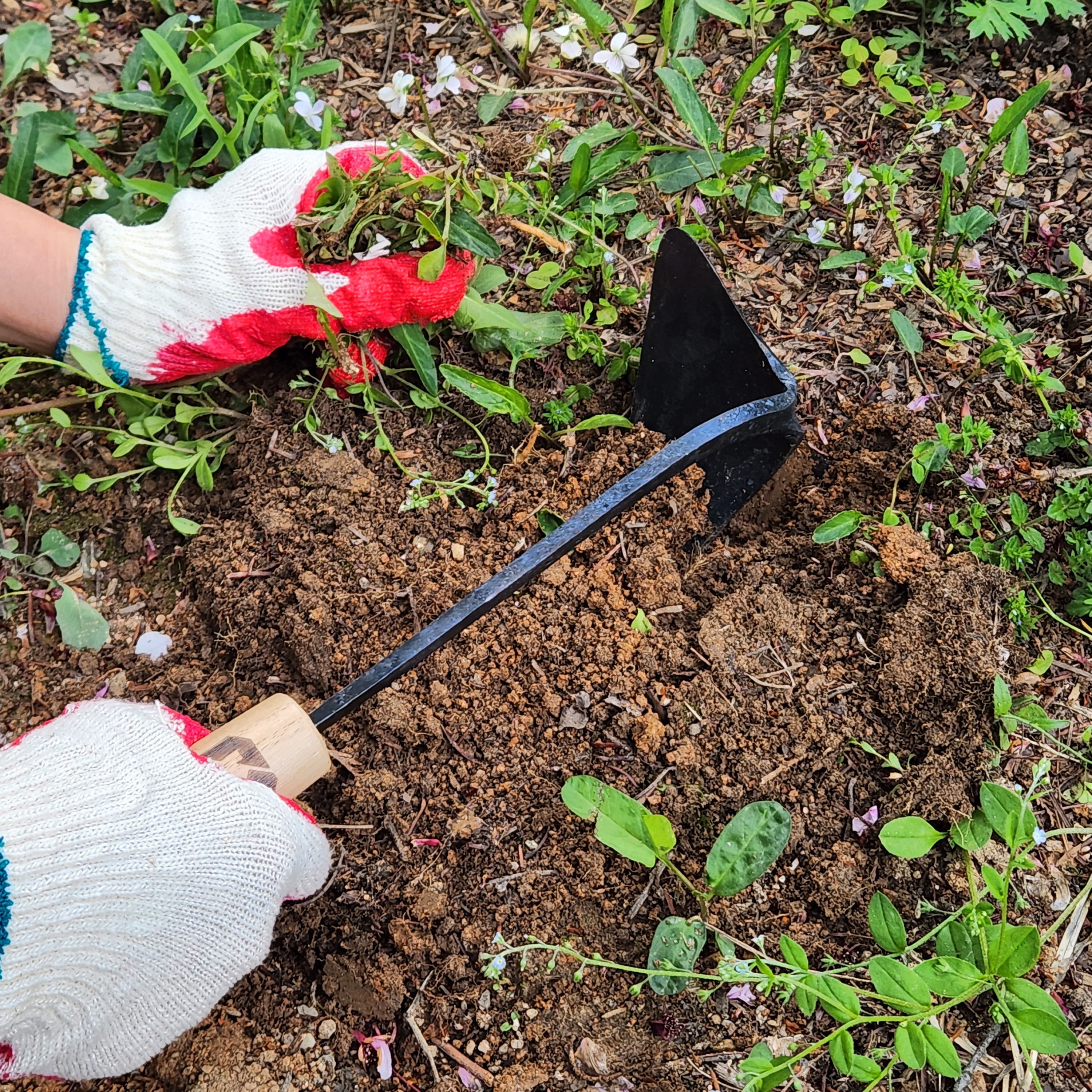 Korean Youngju Daejanggan Master Homi Garden Tools Hoe with Lucky Bag/ Garden plow/ Weeding Sickle/ Weeding Farming Tool