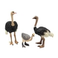 thumbnail image 2 of Figuras de modelos de pájaros animales Hugo coleccionables juguete educativo de aprendizaje decoración, 2 of 10