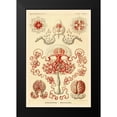 thumbnail image 2 of Haeckel, Ernst 13x18 Black Modern Framed Museum Art Print Titled - Haeckel Nature Illustrations: Anthomedusae, 2 of 5