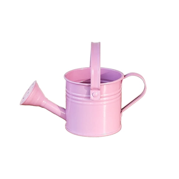 6.3in Mini Watering Can - Small Iron Garden Watering Pot With Ergonomic Handle For Indoor Outdoor Plants Herbs Flowers