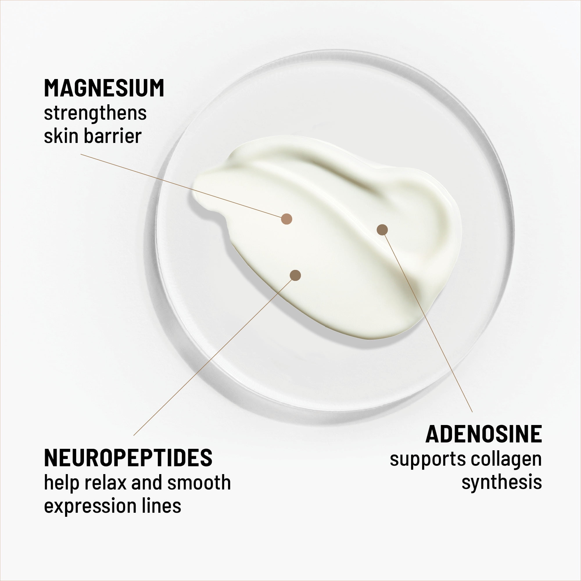 Dr. Brandt Skincare Needles No More® Wrinkle Smoothing Cream