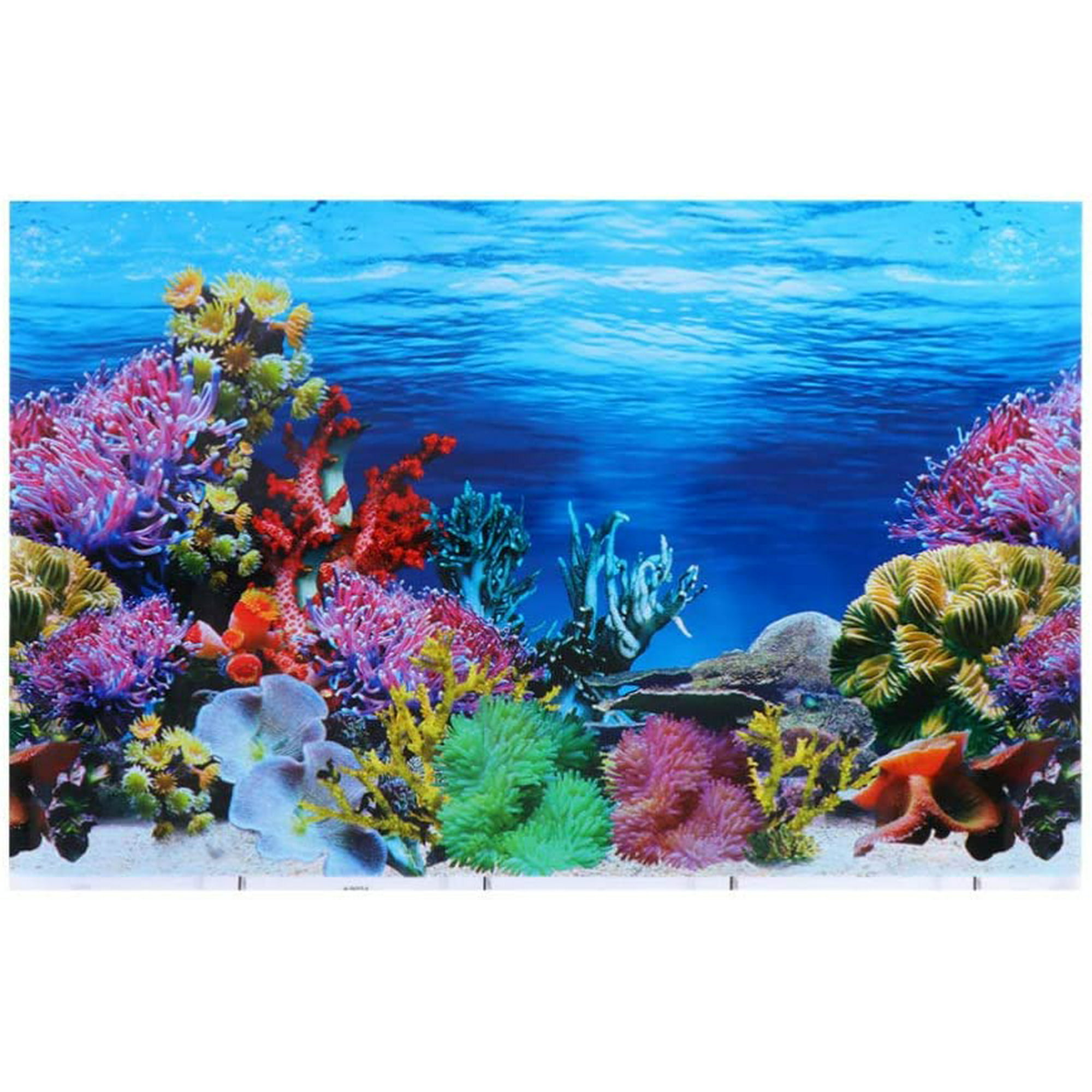 Aquarium Background Sticker 3D Double-Sided Durable Wallpaper Fish Tank  Backdrop Decorative Pictures | Walmart Canada