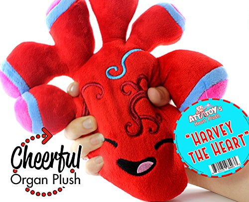organ stuffed animals