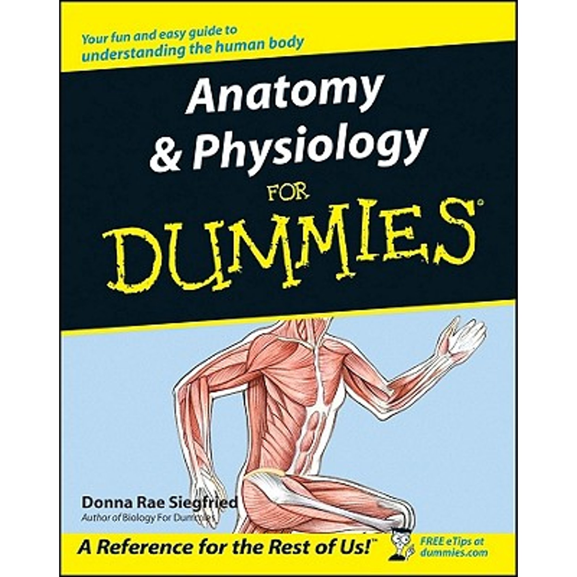Anatomy & Physiology for Dummies (PreOwned Paperback 9780764554223) by Donna Rae Siegfried
