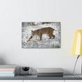 thumbnail image 3 of Majestic Bob-Cat Art Majestic Bob-Cat Print Animal Wall Art Wildlife Canvas Prints Wall Art Ready to Hang Unframed, 3 of 18