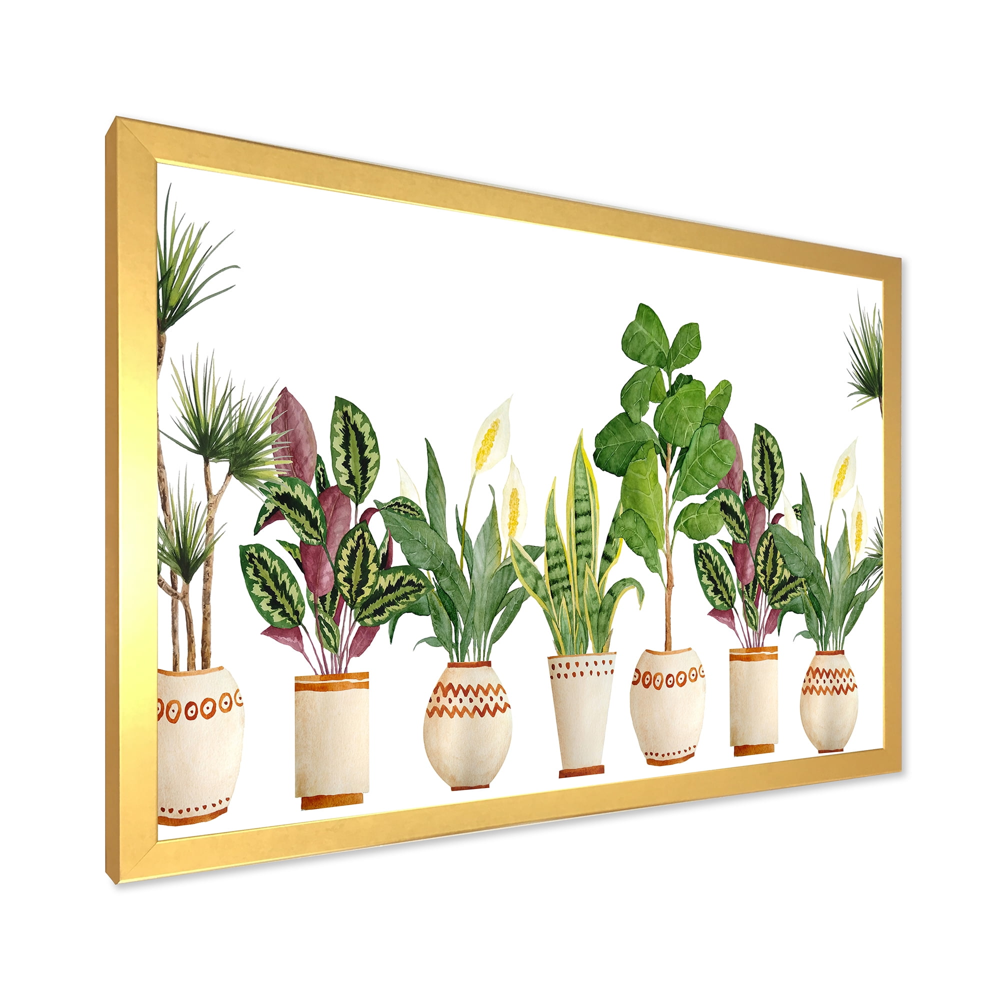Designart 'Trio of Houseplants Sanseviera Snake Plants On White' Farmhouse Framed Art Print