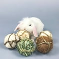 thumbnail image 2 of BESTSKY 5Pcs Rabbit Chew Toys,All-Natural Fibers Rabbit Toys,Nature-Inspired Chew Ball Guinea Pig Toys for Healthy Teeth,Combo3, 2 of 5
