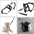 Halti Head Collar Dog Training Obedience Stop Pulling On Lead No Pull Solution