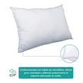 thumbnail image 3 of Almohada América Neo Estándar, 3 of 4