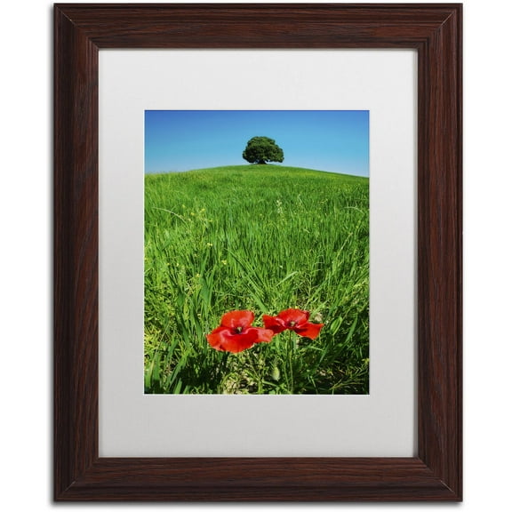 Trademark Fine Art 'Red Poppies and Oak' Canvas Art by Michael Blanchette Photography, White Matte, Wood Frame