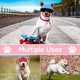 thumbnail image 5 of Gorras de béisbol transpirables para perros, gorro de sol de primera calidad para perros modernos y elegantes, estilo mixto 3, 5 of 5