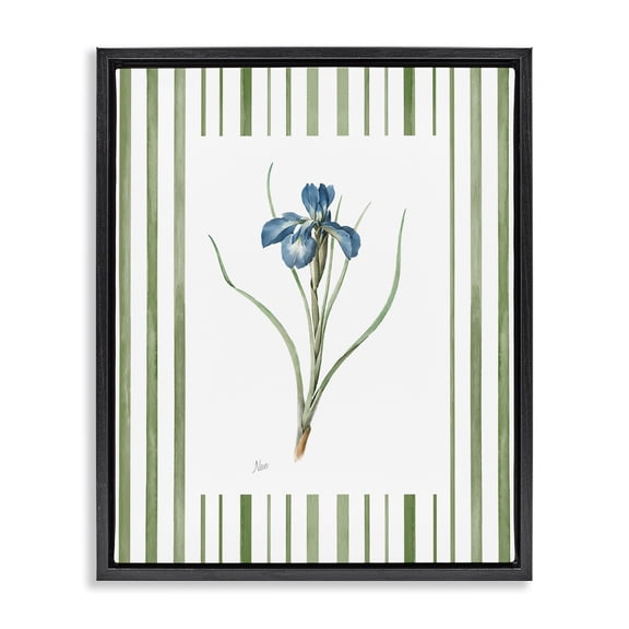 Stupell Industries Traditional Spring Iris And Stripes Black Floating Frame Canvas Art, 17 x 21, by Nan