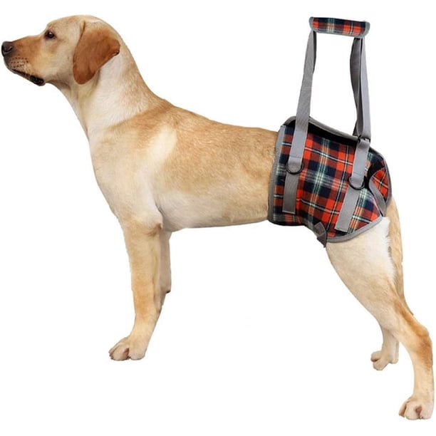 (M: Cuadrícula naranja) Cinturón de soporte para patas traseras de mascotas, arnés de soporte para perros mayores, protector de patas traseras para perros, soporte para pasear perros
