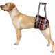 thumbnail image 1 of (M: Cuadrícula naranja) Cinturón de soporte para patas traseras de mascotas, arnés de soporte para perros mayores, protector de patas traseras para perros, soporte para pasear perros, 1 of 5