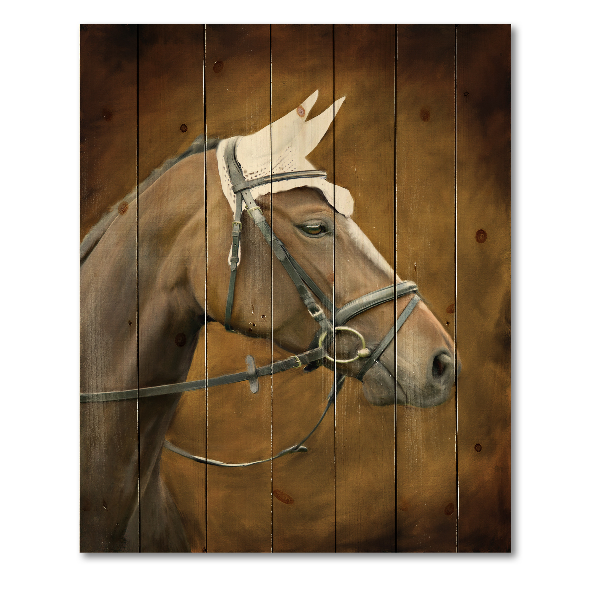 Designart 'Close Up Portrait Of Brown Horse With White Ears' Farmhouse Print on Natural Pine Wood