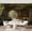 Color 3, variant on Wall Mural Peel and Stick outdoor library ancient tree stone pathway sunlit forest Self-Adhesive Wallpaper Removable Wall Decal Wall Sticker Home Decor for Living Room Bedroom 100"x144"