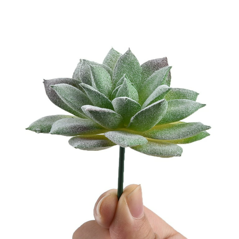 FANJIE Artifical Plastic Succulent Plant Cactus Echeveria Flower Home  Office Decor Gift Frost lotus 