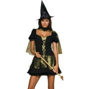 Rubies Womens Secret Wishes Wicked Witch Costume - Size X Small