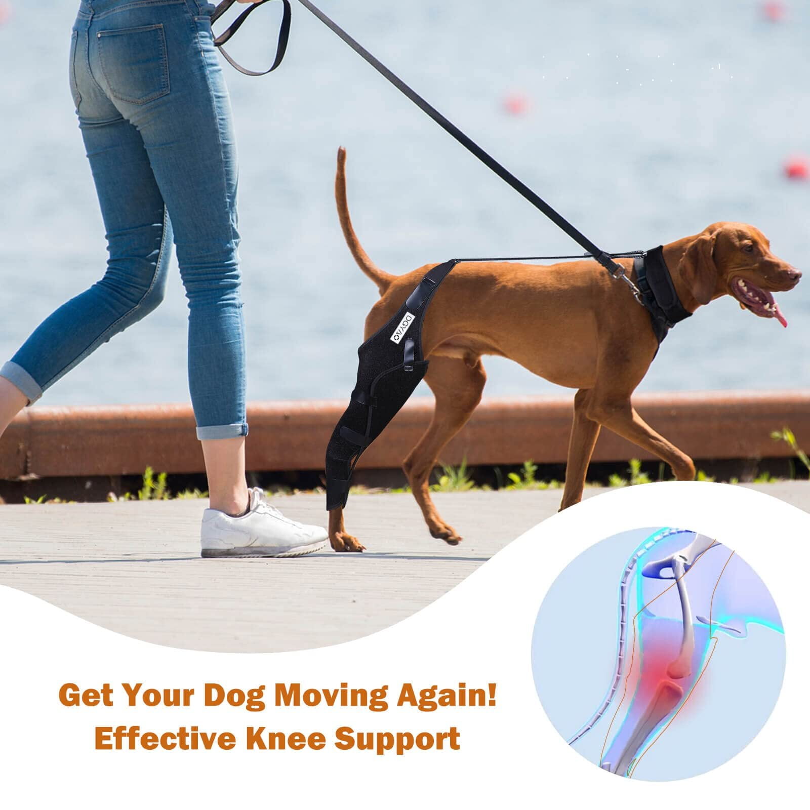 TUOY Dog Knee Brace for ACL, Knee Cap Dislocation, Arthritis - Full Wrap - Easy Adjustable - Extra Support - Reduces Pain and Inflammation – Full Sizes