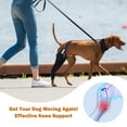 thumbnail image 5 of TUOY Dog Knee Brace for ACL, Knee Cap Dislocation, Arthritis - Full Wrap - Easy Adjustable - Extra Support - Reduces Pain and Inflammation – Full Sizes, 5 of 11