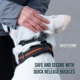 thumbnail image 4 of Pet headband with safety strap and reflective straps Padded head collar for small to medium pets, 4 of 4