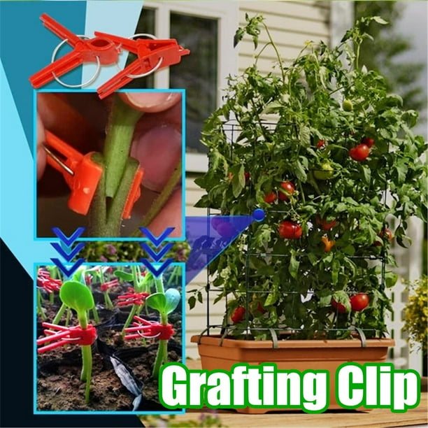 Fiudx Juego de Pinzas para Injertar, Pinzas de Plástico Reutilizables, Fijan Plantas a Estacas, Sujetan Vegetales Pesados, Fácil de Usar con Una Sola Mano, Herramienta de Jardinería, 200 Piezas, Tama