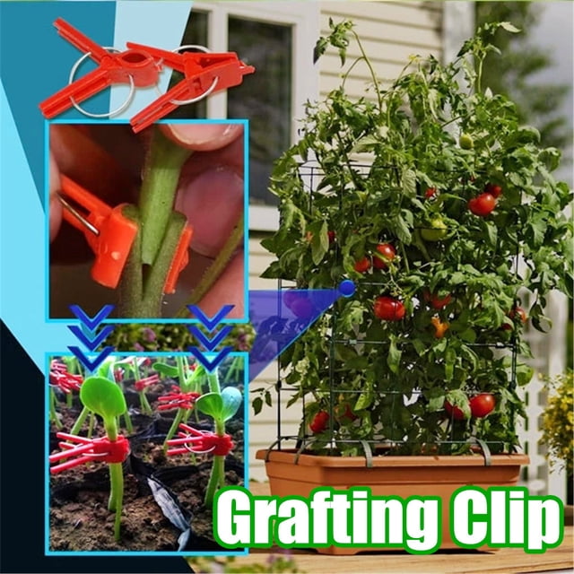 Grafting Clips for Vegetable Plant Grafting | Reusable Plastic and Metal Design | Secure Tomato Flower Support | Non-Slip Easy One-Hand Use | 25mm x 35mm | 200PCS | Gardening Accessories