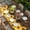 Brown, variant on Yellow Sunflowers Table Cloths for 5 Foot Rectangle Tables, Summer Floral Elegant Pastoral Botanical Patio Waterproof Elastic Fitted Tablecloths, Washable Rectangular Table Cover for Camping