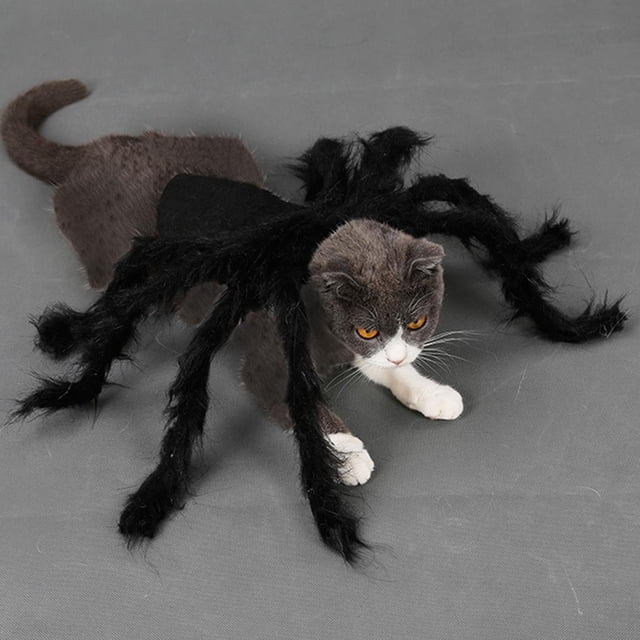 Disfraz de Perro - de Disfraces de Halloween para Perros Ropa para Disfraces de mascota para Mascotas Cosplay para Teddy / Pug